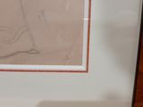 a picture of a drawing of a bird in a frame