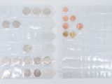 two clear bags with coins in them on a white surface