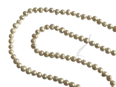 collier de perles sur fond blanc, avec un fermoir doré