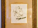 a picture of a drawing of a man riding a horse