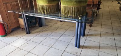 une table en verre sur laquelle sont posées deux plantes en pot