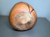 a vase that is sitting on top of a table