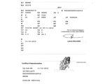 an image of a document with a picture of a cat on it