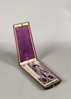 a purple case with a pair of scissors inside of it
