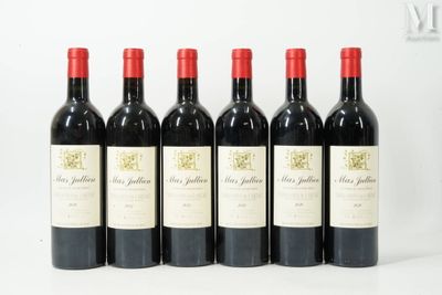 six bouteilles de vin rouge alignées sur une surface blanche