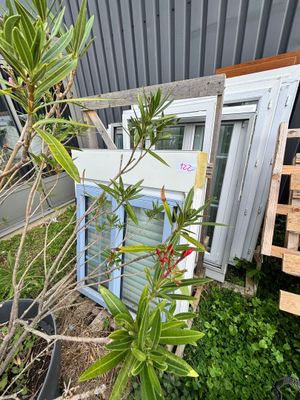 un petit arbre en pot près d'une fenêtre