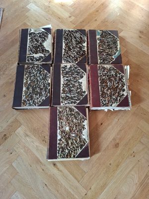 plusieurs livres posés sur un plancher en bois, avec un chat assis dessus