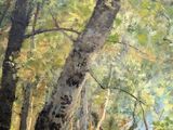 an oil painting of trees in a wooded area by a river