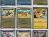 Les cartes Pokémon sont toutes de couleurs et de tailles différentes.