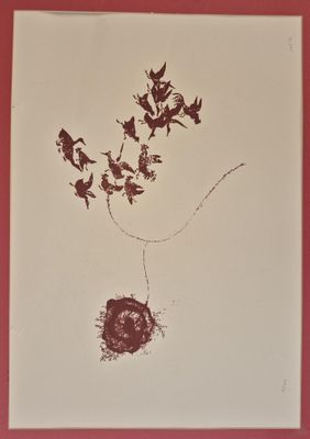 une photo d'une photo représentant des oiseaux volant dans le ciel