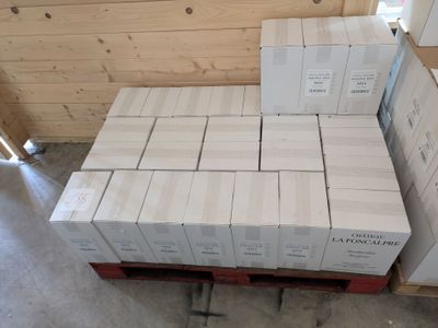 a lot of boxes on a pallet in a room