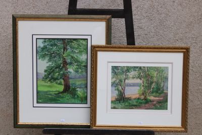 deux photos encadrées représentant des arbres, posées sur une étagère à côté d'un fauteuil