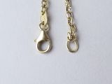 pair of gold plated chain earrings with clasps on a white background
