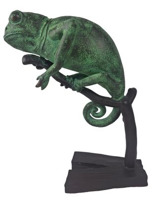 une image représentant un caméléon vert perché sur une branche, sur fond blanc