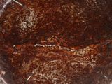 a close up of a piece of bread on a plate