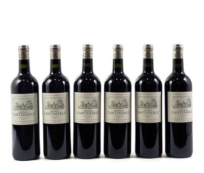 six bottles of wine are lined up in a row on a white surface