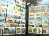 un livre avec un tas de timbres dessus
