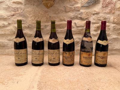 3 B Chambolle Musigny 1er cru. Domaine Daniel Funes-Hudelot. - Photo 1