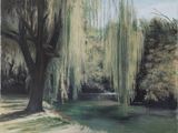 a painting of a willow tree by the water