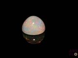 a close up of a white oplite on a black background