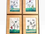quatre tableaux encadrés représentant des oiseaux et des fleurs sur fond blanc