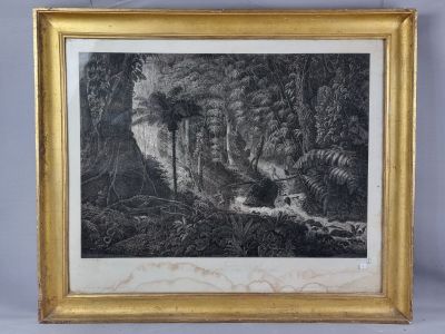 an old black and white drawing of a waterfall in a forest