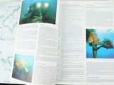 an open book with pictures of animals in the water