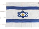 an israeli flag with a star of david on it