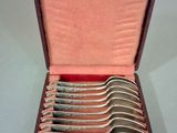 six spoons in a case that are sitting on a table