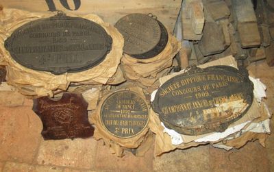 several plaques on the floor of a building