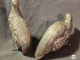 two birds that are standing next to each other on a table