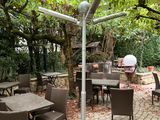 une terrasse avec des tables et des chaises sous un arbre