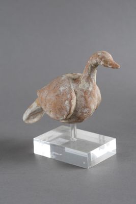 statue d'un canard posée sur un socle transparent, posée à son tour sur une surface grise