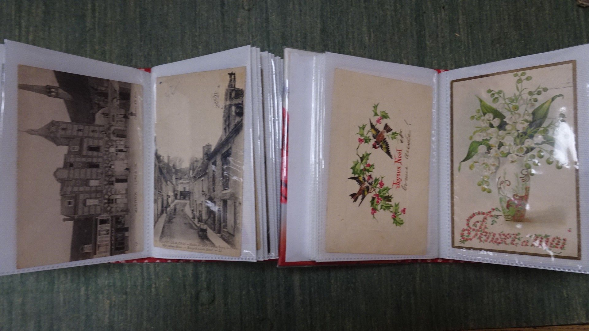 2 Classeurs de cartes postales sur les fleurs et les régions