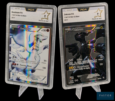 deux cartes Pokémon dans un étui en plastique sur fond noir