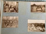 four pictures of horses and people in a field
