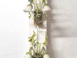two vases that have flowers in them hanging on a wall