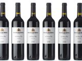 six bottles of red wine are lined up in a row
