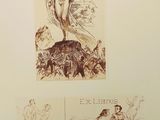a picture of a drawing of a woman on a rock