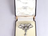 a diamond dragonfly brooch in a case