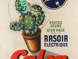 une photo d'une affiche représentant un cactus en pot posé sur une table