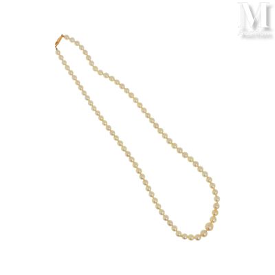 gros plan d'un collier de perles sur fond blanc
