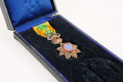 une médaille d'or dans une boîte bleue ornée d'un ruban