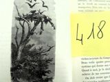 une photo d'un livre sur lequel figurent un arbre et des oiseaux