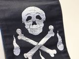 a tie with a skull and crossbones on it