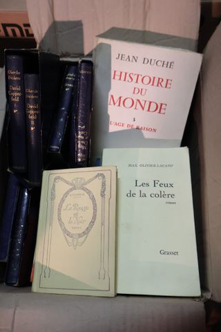 Lot de 2 cartons roman et histoire 