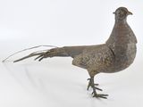 un oiseau posé sur une surface blanche
