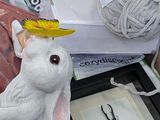 a stuffed rabbit sitting in a box next to a spider
