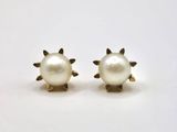 pair of pearl stud earrings on white background