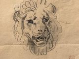 dessin d'une tête de lion sur une feuille de papier